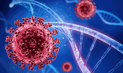 കോഴിക്കോട് ജില്ലയില്‍ 746 പേര്‍ക്ക് കൂടി കൊവിഡ്