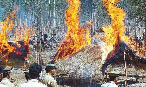 മുത്തങ്ങ ഭൂസമരത്തിന് 19 വയസ് മുത്തങ്ങ ഭൂസമരത്തിന് 19 വയസ്