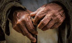 70 เดตเดฏเดธเดฟเดจเต เดฎเตเดเดณเดฟเดฒเตเดณเตเดณ เดคเดเดตเตเดเดพเดฐเตเดเต เด
เดเดพเดฒ เดตเดฟเดเตเดคเดฒเตโ เดธเดฐเตโเดเตเดเดพเดฐเตโ เดชเดฐเดฟเดเดฃเดฟเดเตเดเตเดจเตเดจเต 70 เดตเดฏเดธเดฟเดจเต เดฎเตเดเดณเดฟเดฒเตเดณเตเดณ เดคเดเดตเตเดเดพเดฐเตเดเต เด
เดเดพเดฒ เดตเดฟเดเตเดคเดฒเตโ เดธเดฐเตโเดเตเดเดพเดฐเตโ เดชเดฐเดฟเดเดฃเดฟเดเตเดเตเดจเตเดจเต