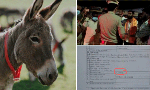 മുഖ്യമന്ത്രിക്കെതിരായി സമരം നടത്താനായി കഴുതയെ മോഷ്ടിച്ചെന്ന കേസില് കോണ്ഗ്രസ് നേതാവ് അറസ്റ്റില് മുഖ്യമന്ത്രിക്കെതിരായി സമരം നടത്താനായി കഴുതയെ മോഷ്ടിച്ചെന്ന കേസില് കോണ്ഗ്രസ് നേതാവ് അറസ്റ്റില്