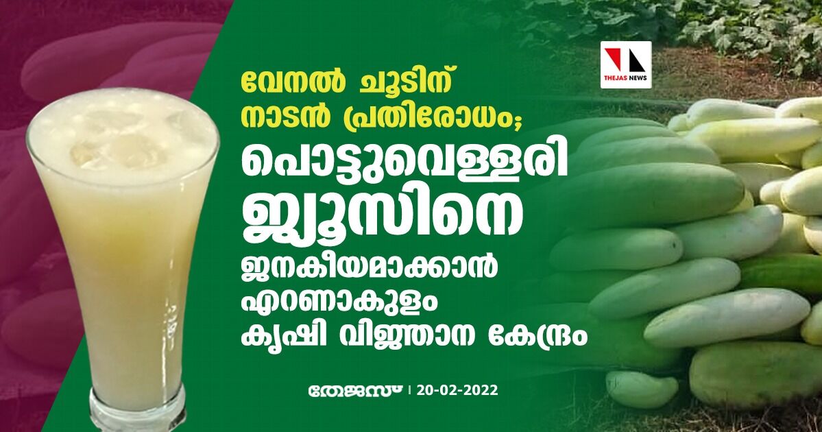 വേനല്‍ ചൂടിന് നാടന്‍ പ്രതിരോധം; പൊട്ടുവെള്ളരി ജ്യൂസിനെ ജനകീയമാക്കാന്‍ എറണാകുളം കൃഷി വിജ്ഞാന കേന്ദ്രം
