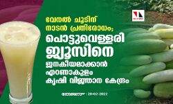 വേനല്‍ ചൂടിന് നാടന്‍ പ്രതിരോധം; പൊട്ടുവെള്ളരി ജ്യൂസിനെ ജനകീയമാക്കാന്‍ എറണാകുളം കൃഷി വിജ്ഞാന കേന്ദ്രം