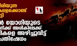 അലഞ്ഞുതിരിയുന്ന കന്നുകാലികളെക്കൊണ്ട് പൊറുതി മുട്ടി; യുപിയില്‍ യോഗിയുടെ സമ്മേളന വേദിക്ക് അരികിലേക്ക് കന്നുകാലികളെ അഴിച്ചുവിട്ട് കര്‍ഷക പ്രതിഷേധം