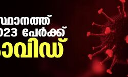 സംസ്ഥാനത്ത് ഇന്ന് 5023 പേര്‍ക്ക് കൊവിഡ്