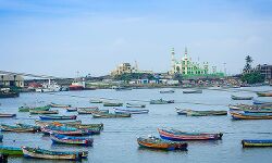 വിഴിഞ്ഞത്തെ വൃക്ക കച്ചവടം: വൃക്ക നല്‍കിയവര്‍ക്ക് ഗുരുതര ആരോഗ്യ പ്രശ്‌നങ്ങള്‍; ജുഡിഷ്യല്‍ അന്വേഷണം ആവശ്യപ്പെട്ട് മുഖ്യമന്ത്രിക്ക് പരാതി