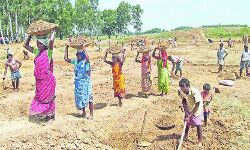 സൂര്യാഘാത ഭീഷണി: തൊഴിലുറപ്പ് പ്രവൃത്തി സമയം പുനഃക്രമീകരിച്ചു