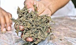 കായ വറുത്തതിലൊളിപ്പിച്ച് കഞ്ചാവ് കടത്ത്; കൊടുങ്ങല്ലൂരിൽ രണ്ട് പേർ പിടിയിൽ