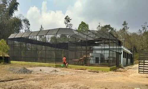 സംസ്ഥാനത്ത് കടുവകള്ക്കായുള്ള ആദ്യ പാലിയേറ്റീവ് കെയര് യൂണിറ്റ് വയനാട്ടില്;ഉദ്ഘാടനം ഇന്ന് സംസ്ഥാനത്ത് കടുവകള്ക്കായുള്ള ആദ്യ പാലിയേറ്റീവ് കെയര് യൂണിറ്റ് വയനാട്ടില്;ഉദ്ഘാടനം ഇന്ന്