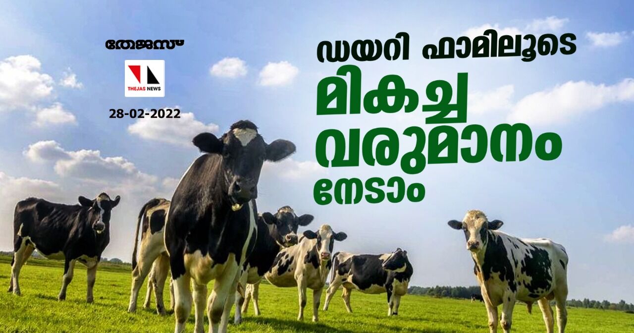 ഡയറി ഫാമിലൂടെ മികച്ച വരുമാനം നേടാം ഡയറി ഫാമിലൂടെ മികച്ച വരുമാനം നേടാം