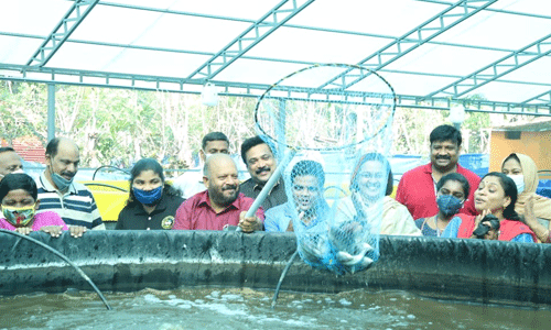 തളിക്കുളത്ത് ബയോഫ്‌ളോക് മത്സ്യകൃഷി വിളവെടുത്തു