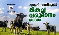 ഡയറി ഫാമിലൂടെ മികച്ച വരുമാനം നേടാം ഡയറി ഫാമിലൂടെ മികച്ച വരുമാനം നേടാം
