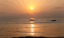 เดเดเดฒเตเดฐ เดธเดเดฐเดเตเดทเดฃ เดซเตเดเตเดเดธเต เดเตเดฐเตเดชเตเดชเดฟเดจเต เดคเตเดเดเตเดเดฎเดพเดเตเดจเตเดจเต เดเดเดฒเตเดฐ เดธเดเดฐเดเตเดทเดฃ เดซเตเดเตเดเดธเต เดเตเดฐเตเดชเตเดชเดฟเดจเต เดคเตเดเดเตเดเดฎเดพเดเตเดจเตเดจเต