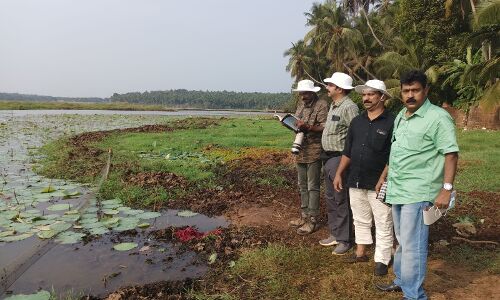 തണ്ണീര്‍ പക്ഷികളുടെ സര്‍വ്വേ നടത്തി