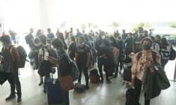 യുക്രെയ്‌ന്‍: 238 പേരെ വെള്ളിയാഴ്ച കേരളത്തിലെത്തിച്ചു; ഇതുവരെ എത്തിയത് 890 പേര്‍