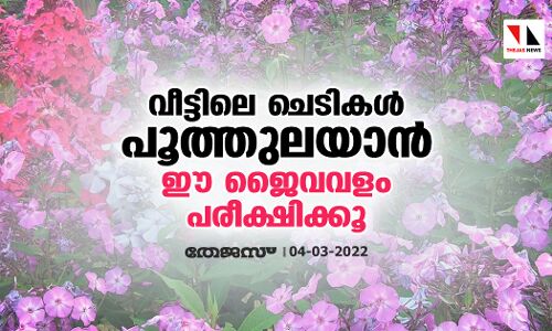 വീട്ടിലെ ചെടികൾ പൂത്തുലയാൻ ഈ ജൈവവളം പരീക്ഷിക്കൂ