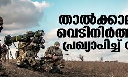 താല്‍ക്കാലിക വെടിനിര്‍ത്തല്‍ പ്രഖ്യാപിച്ച് റഷ്യ