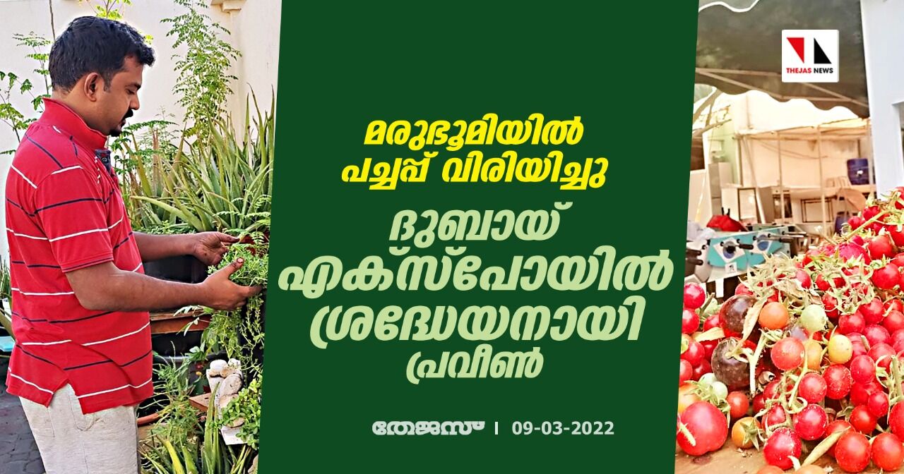 മരുഭൂമിയില് പച്ചപ്പ് വിരിയിച്ചു; ദുബായ് എക്സ്പോയില് ശ്രദ്ധേയനായി പ്രവീണ് മരുഭൂമിയില് പച്ചപ്പ് വിരിയിച്ചു; ദുബായ് എക്സ്പോയില് ശ്രദ്ധേയനായി പ്രവീണ്