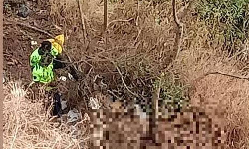 താമരശ്ശേരി ചുരത്തിലെ കൊക്കയില് അജ്ഞാത മൃതദേഹം താമരശ്ശേരി ചുരത്തിലെ കൊക്കയില് അജ്ഞാത മൃതദേഹം