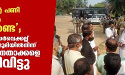 പോലിസിന്റെ പണി സിപിഎം എടുക്കേണ്ട; കെ. റെയില്‍ സര്‍വെക്കല്ല് സ്ഥാപിക്കുന്ന ഭൂമിയില്‍നിന്ന് സിപിഎം നേതാക്കളെ ഇറക്കിവിട്ടു