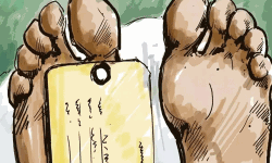 കൊവിഡ് മരണം: പ്രവാസി തണല്പദ്ധതി വഴി സഹായ വിതരണം തുടരുന്നു കൊവിഡ് മരണം: പ്രവാസി തണല്പദ്ധതി വഴി സഹായ വിതരണം തുടരുന്നു