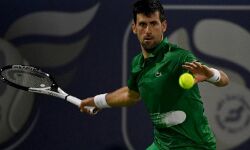 ജോക്കോവിച്ച് ഇന്ത്യന് വെല്സ്-മിയാമി ഓപ്പണുകളില് നിന്ന് പിന്മാറി ജോക്കോവിച്ച് ഇന്ത്യന് വെല്സ്-മിയാമി ഓപ്പണുകളില് നിന്ന് പിന്മാറി