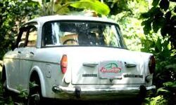 15 വര്ഷത്തിനു മുകളിലുള്ള വാഹനങ്ങള്ക്ക് ഹരിത നികുതി 15 വര്ഷത്തിനു മുകളിലുള്ള വാഹനങ്ങള്ക്ക് ഹരിത നികുതി