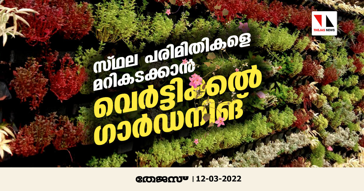 സ്ഥല പരിമിതികളെ മറികടക്കാന്‍ വെര്‍ട്ടിക്കല്‍ ഗാര്‍ഡനിങ്