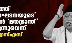 രാജ്യത്ത് ഭരണഘടനയുടെ മറവില്‍ മതഭ്രാന്ത് വളരുന്നുവെന്ന് ആര്‍എസ്എസ്