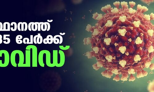 സംസ്ഥാനത്ത് കൊവിഡ് കുറയുന്നു; ഇന്ന് രോഗം സ്ഥിരീകരിച്ചത് 885 പേര്ക്ക് സംസ്ഥാനത്ത് കൊവിഡ് കുറയുന്നു; ഇന്ന് രോഗം സ്ഥിരീകരിച്ചത് 885 പേര്ക്ക്