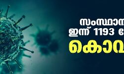 സംസ്ഥാനത്ത് ഇന്ന് 1,193 പേര്‍ക്ക് കൊവിഡ്; മൂന്ന് മരണം