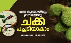 ചക്ക കാലമായില്ലേ;ഇനിയൊരു ചക്ക പച്ചടിയാകാം ചക്ക കാലമായില്ലേ;ഇനിയൊരു ചക്ക പച്ചടിയാകാം