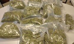 കാല്നട യാത്രക്കാരായ യുവാക്കളില് നിന്നും ഏഴേ മുക്കാല് കിലോ കഞ്ചാവ് പിടികൂടി കാല്നട യാത്രക്കാരായ യുവാക്കളില് നിന്നും ഏഴേ മുക്കാല് കിലോ കഞ്ചാവ് പിടികൂടി