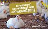 സംസ്ഥാനത്ത് കോഴിയിറച്ചി വില പറപറക്കുന്നു