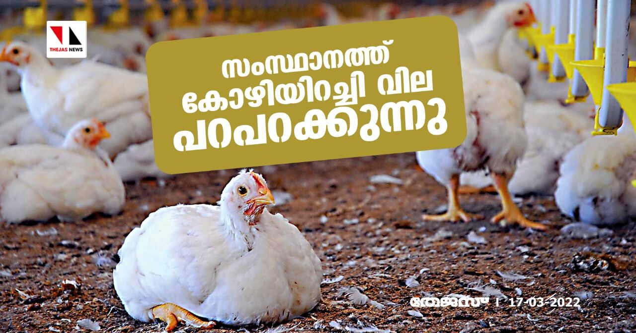സംസ്ഥാനത്ത് കോഴിയിറച്ചി വില പറപറക്കുന്നു സംസ്ഥാനത്ത് കോഴിയിറച്ചി വില പറപറക്കുന്നു