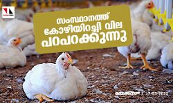 സംസ്ഥാനത്ത് കോഴിയിറച്ചി വില പറപറക്കുന്നു
