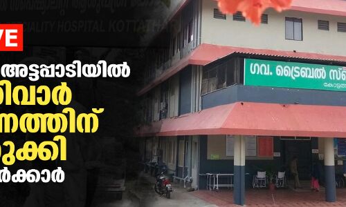 Exclusive: ശിശുമരണം: അട്ടപ്പാടിയില്‍ സംഘപരിവാര്‍ നിയന്ത്രണത്തിന് കളമൊരുക്കി പിണറായി സര്‍ക്കാര്‍