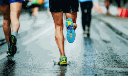 പ്രീമിയര് മാരത്തോണ് 20 ന് ഞായറാഴ്ച; ജഴ്സി പ്രകാശനം ചെയ്തു പ്രീമിയര് മാരത്തോണ് 20 ന് ഞായറാഴ്ച; ജഴ്സി പ്രകാശനം ചെയ്തു