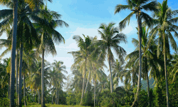 เดฌเตเดชเตเดชเตเดฐเดฟเดฒเตโ เดเตเดฐเดเตเดฐเดพเดฎเด เดชเดฆเตเดงเดคเดฟเดเตเดเต เดคเตเดเดเตเดเด เดฌเตเดชเตเดชเตเดฐเดฟเดฒเตโ เดเตเดฐเดเตเดฐเดพเดฎเด เดชเดฆเตเดงเดคเดฟเดเตเดเต เดคเตเดเดเตเดเด