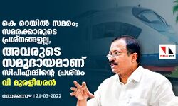 കെ റെയില്‍ സമരം;സമരക്കാരുടെ പ്രശ്‌നങ്ങളല്ല,അവരുടെ സമുദായമാണ് സിപിഎമ്മിന്റെ പ്രശ്‌നം:വി മുരളീധരന്‍