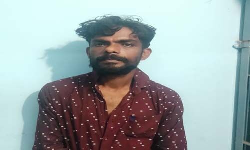 നിരവധി മോഷണ കേസുകളിലെ പ്രതി പോലിസ് പിടിയില്‍