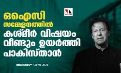 ഒഐസി സമ്മേളനത്തില്‍ കശ്മീര്‍ വിഷയം വീണ്ടുമുയര്‍ത്തി പാകിസ്താന്‍