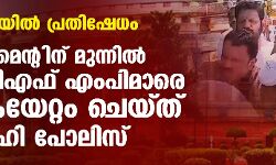 കെ റെയില്‍ പ്രതിഷേധം;പാര്‍ലമെന്റിന് മുന്നില്‍ യുഡിഎഫ് എംപിമാരെ കൈയേറ്റം ചെയ്ത് ഡല്‍ഹി പോലിസ്