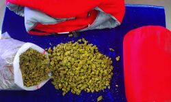 เด
เดฏเตฝ เดธเดเดธเตเดฅเดพเดจเดเตเดเดณเดฟเตฝ เดจเดฟเดจเตเดจเต เดเดเตเดเดพเดตเตเดคเตเดคเดฟเดเตเดเต เดตเดฟเตฝเดชเตเดชเดจ: เดฏเตเดตเดพเดเตเดเตพ เด
เดฑเดธเตเดฑเตเดฑเดฟเตฝ เด
เดฏเตฝ เดธเดเดธเตเดฅเดพเดจเดเตเดเดณเดฟเตฝ เดจเดฟเดจเตเดจเต เดเดเตเดเดพเดตเตเดคเตเดคเดฟเดเตเดเต เดตเดฟเตฝเดชเตเดชเดจ: เดฏเตเดตเดพเดเตเดเตพ เด
เดฑเดธเตเดฑเตเดฑเดฟเตฝ