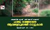 തേക്കിൻ ചുവട്-വഴിക്കടവ് ഭാഗത്ത് പാലം വേണമെന്ന ആവശ്യവുമായി നാട്ടുകാർ