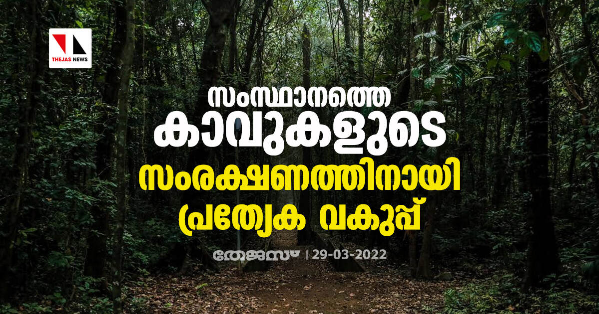 സംസ്ഥാനത്തെ കാവു‍കളുടെ സംരക്ഷണത്തിനായി പ്രത്യേക വകുപ്പ്