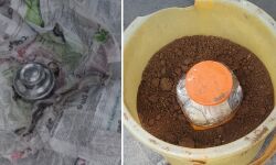 เดเดฃเตเดฃเตเดฐเดฟเดฒเตโ เดธเตเดฑเตเดฑเตเดฒเตโเดฌเตเดเดฌเตเดเดณเตโ เดเดฃเตเดเตเดเตเดคเตเดคเต เดเดฃเตเดฃเตเดฐเดฟเดฒเตโ เดธเตเดฑเตเดฑเตเดฒเตโเดฌเตเดเดฌเตเดเดณเตโ เดเดฃเตเดเตเดเตเดคเตเดคเต