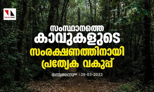 സംസ്ഥാനത്തെ കാവുകളുടെ സംരക്ഷണത്തിനായി പ്രത്യേക വകുപ്പ് സംസ്ഥാനത്തെ കാവുകളുടെ സംരക്ഷണത്തിനായി പ്രത്യേക വകുപ്പ്