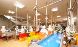 ലോക ഇഡ്ഡലി ദിനത്തില്‍ ആദ്യത്തെ ലൈവ് സ്ട്രീമിംഗ് കാംപയിന്‍ ട്രാന്‍സ്‌പെരന്‍സിയുമായി ഐ ഡി ഫ്രഷ് ഫുഡ്