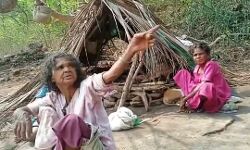 വീടില്ല, താമസം പാറപ്പുറത്ത്, കുട്ടികള്‍ക്ക് പഠനവും അന്യം; ദുരിത ജീവിതം നയിച്ച് പെരിന്തല്‍മണ്ണയിലെ ആളര്‍ ആദിവാസികള്‍