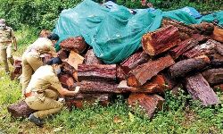 മുട്ടില് മരം കൊള്ളക്കേസില് പ്രധാന അന്വേഷണ ഉദ്യോഗസ്ഥനെ സ്ഥലം മാറ്റി മുട്ടില് മരം കൊള്ളക്കേസില് പ്രധാന അന്വേഷണ ഉദ്യോഗസ്ഥനെ സ്ഥലം മാറ്റി